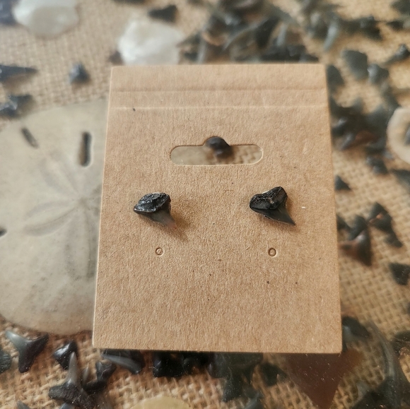 Handmade Black Shark Tooth Stud Earrings - Picture 1 of 3